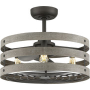 Progress P250012-143-22 Gulliver 23" 3-blade fandelier with LED lights Main Image.jpg