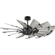 Progress P250065-31M Springer Collection 52-Inch Matte Black 12-Blade DC Motor Windmill Ceiling Fan Main Image.jpg