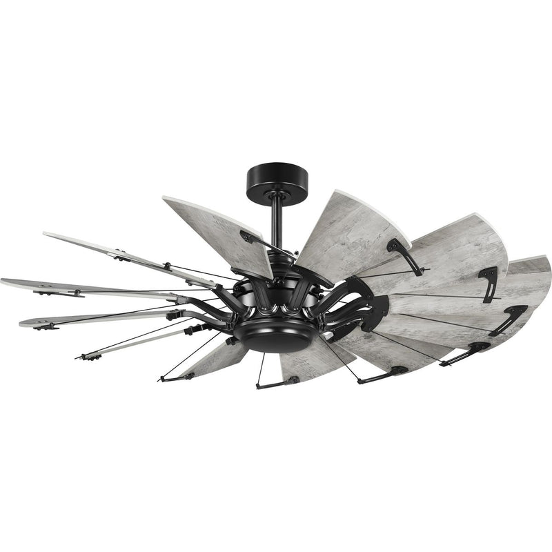 Progress P250065-31M Springer Collection 52-Inch Matte Black 12-Blade DC Motor Windmill Ceiling Fan Main Image.jpg