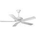 Progress P2503-30W AirPro Collection Performance 52" Five-Blade Ceiling Fan Main Image.jpg