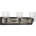 Progress P300231-143 Briarwood Collection Three-Light Graphite Clear Glass Coastal Bath Vanity Light Main Image.jpg