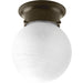 Progress P3401-20 Glass Globes Collection 6" One-Light Close-to-Ceiling Main Image.jpg