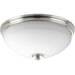 Progress P3423-09 Replay Collection Two-light 14" Flush Mount Main Image.jpg