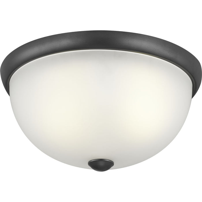 Progress P350044-143 Two-Light 14" Glass Dome Flush Mount Main Image.jpg