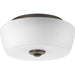 Progress P350061-020 Leap Collection Two-Light 14" Flush Mount Main Image.jpg