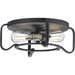 Progress P350116-071 Foster Collection 16" Two-Light Flush Mount Main Image.jpg