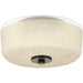 Progress P3620-20 Alexa Collection Two-Light 12-1/4" Flush Mount Main Image.jpg