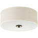 Progress P3713-20 Inspire Collection Two-Light 13" Flush Mount Main Image.jpg