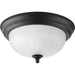 Progress P3924-80 One-Light Dome Glass 11-3/8" Close-to-Ceiling Main Image.jpg