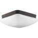 Progress P3992-20 Appeal Collection Three-Light 13" Flush Mount Main Image.jpg