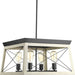 Progress P400047-143 Briarwood Collection Four-Light Graphite Coastal Chandelier Light Main Image.jpg