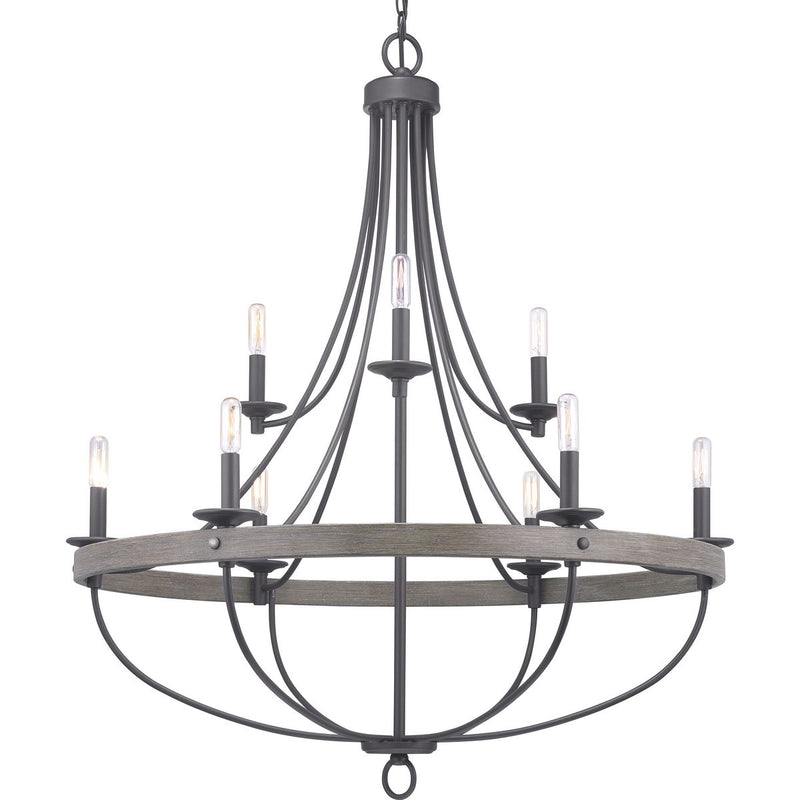 Progress P400159-143 Gulliver Collection Nine-Light Graphite Coastal Chandelier Light Main Image.jpg
