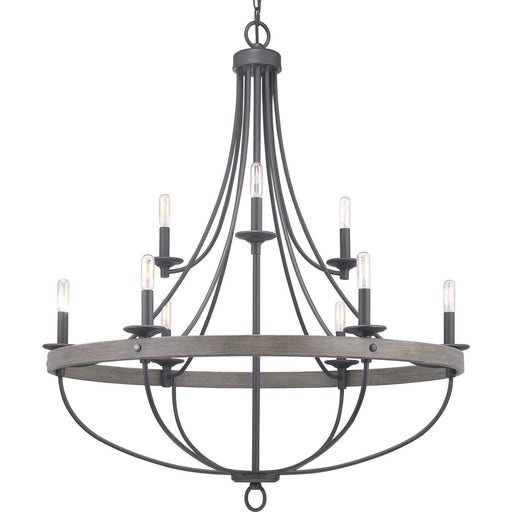 Progress P400159-143 Gulliver Collection Nine-Light Graphite Coastal Chandelier Light Main Image.jpg