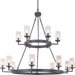 Progress P400166-143 Gresham Collection Fifteen-Light Graphite Clear Seeded Glass Farmhouse Chandelier Light Main Image.jpg