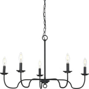 Progress P400291-31M Canebrake Collection Five-Light Matte Black Farmhouse Chandelier Light Main Image.jpg