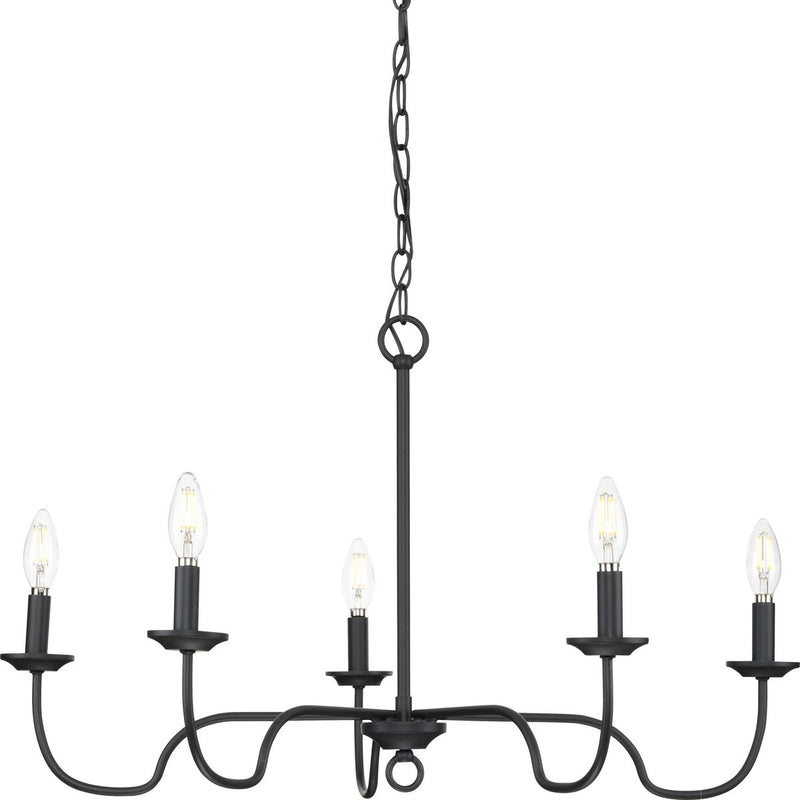 Progress P400291-31M Canebrake Collection Five-Light Matte Black Farmhouse Chandelier Light Main Image.jpg