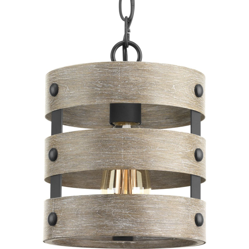 Progress P500022-143 Gulliver Collection One-Light Graphite Coastal Pendant Light Main Image.jpg