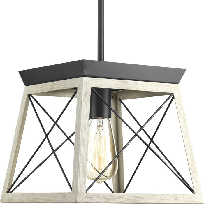 Progress P500041-143 Briarwood Collection One-Light Graphite Coastal Mini-Pendant Light Main Image.jpg