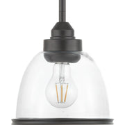 Progress P500137-020 Saluda Collection One-Light Mini-Pendant Main Image.jpg