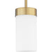 Progress P500151-109 Elevate Collection One-Light Mini-Pendant Main Image.jpg