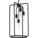 Progress P500224-031 Bonn Collection Four-Light Matte Black Farmhouse Pendant Light Main Image.jpg