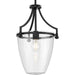 Progress P500360-31M Parkhurst Collection One-Light New Traditional Matte Black Clear Glass Mini-Pendant Light Main Image.jpg