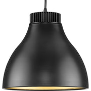 Progress P500372-31M-30 Radian LED Collection  Modern Matte Black Metal Pendant Main Image.jpg
