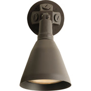 Progress P5202-20 One-Light Adjustable Swivel Flood Light Main Image.jpg