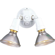 Progress P5207-30 Two-Light Adjustable Swivel Flood Light Main Image.jpg