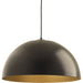 Progress P5342-2030K9 Dome Collection One-Light LED Pendant Main Image.jpg