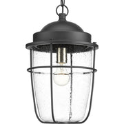 Progress P550025-031 Holcombe Collection Hanging Lantern Main Image.jpg