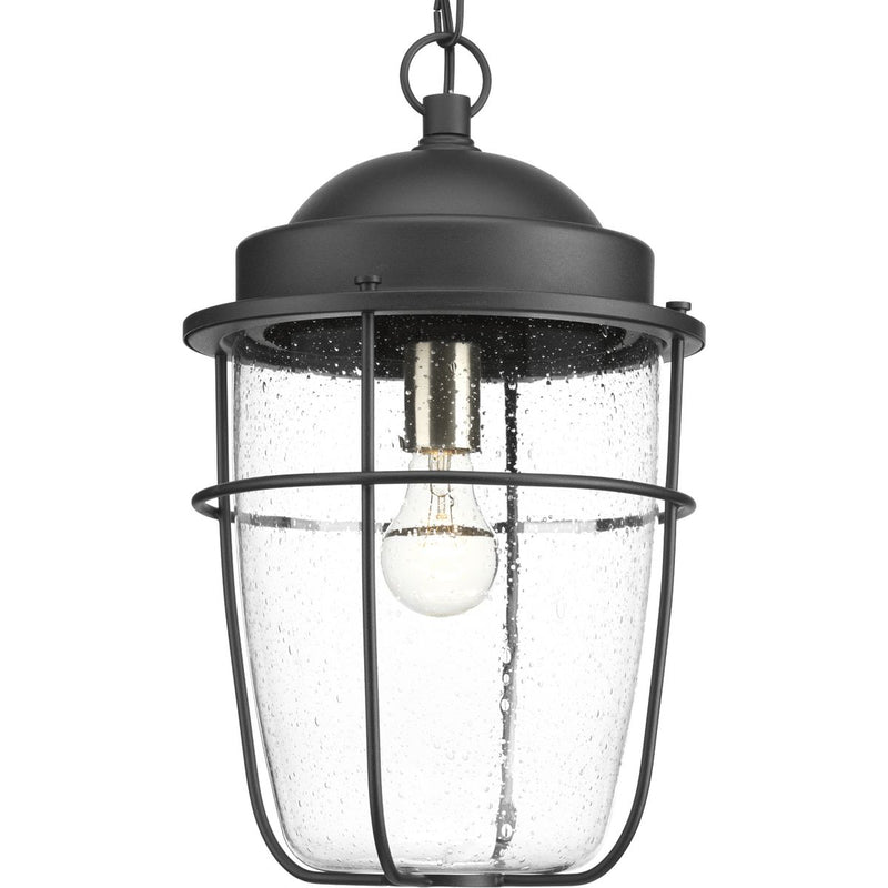 Progress P550025-031 Holcombe Collection Hanging Lantern Main Image.jpg