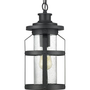 Progress P550031-031 Haslett Collection One-Light Hanging Lantern Main Image.jpg
