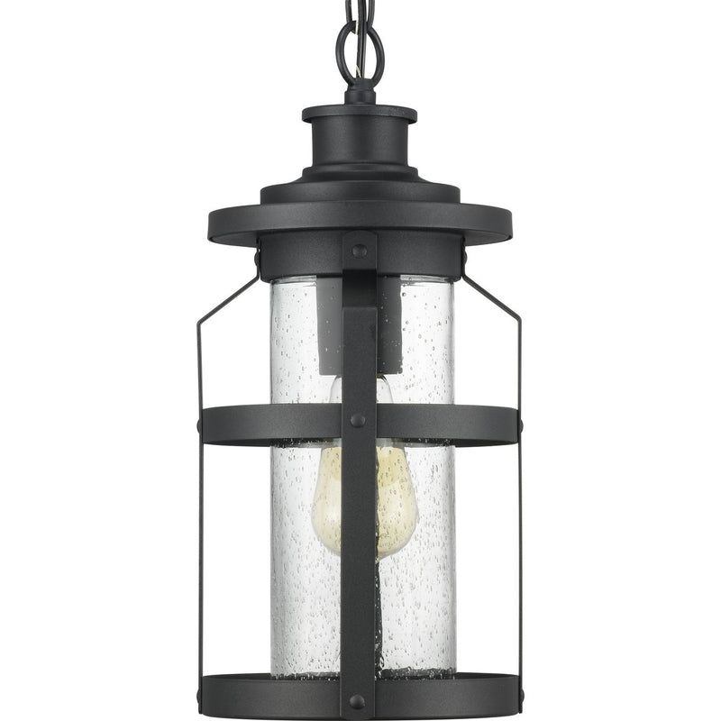 Progress P550031-031 Haslett Collection One-Light Hanging Lantern Main Image.jpg