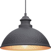 Progress P550032-031 Englewood Collection One-Light Hanging Lantern Main Image.jpg