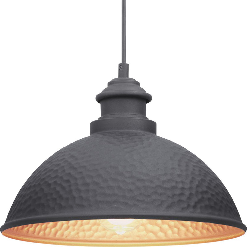 Progress P550032-031 Englewood Collection One-Light Hanging Lantern Main Image.jpg