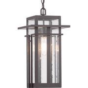 Progress P550039-020 Boxwood Collection One-Light Hanging Lantern Main Image.jpg