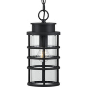 Progress P550061-031 Port Royal Collection One-Light Hanging Lantern with DURASHIELD Main Image.jpg