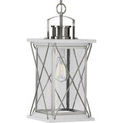 Progress P550068-135 Barlowe Collection Stainless Steel One-Light Hanging Lantern Main Image.jpg