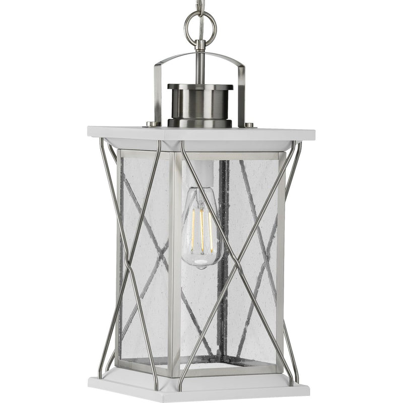 Progress P550068-135 Barlowe Collection Stainless Steel One-Light Hanging Lantern Main Image.jpg