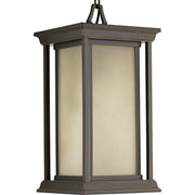 Progress P5500-20 Endicott Collection One-Light Hanging Lantern Main Image.jpg