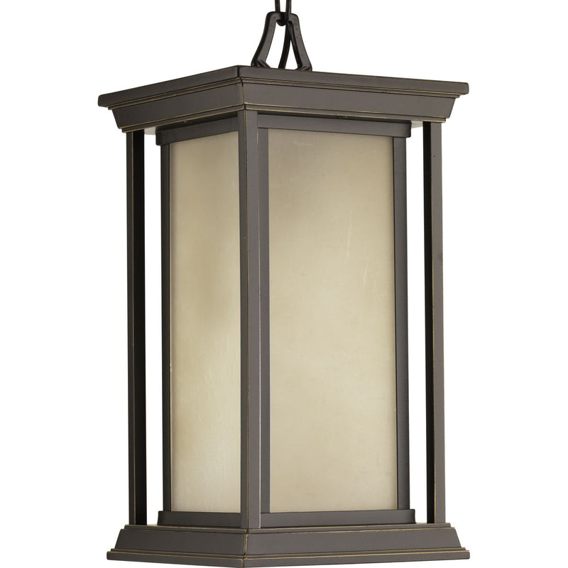 Progress P5500-20 Endicott Collection One-Light Hanging Lantern Main Image.jpg