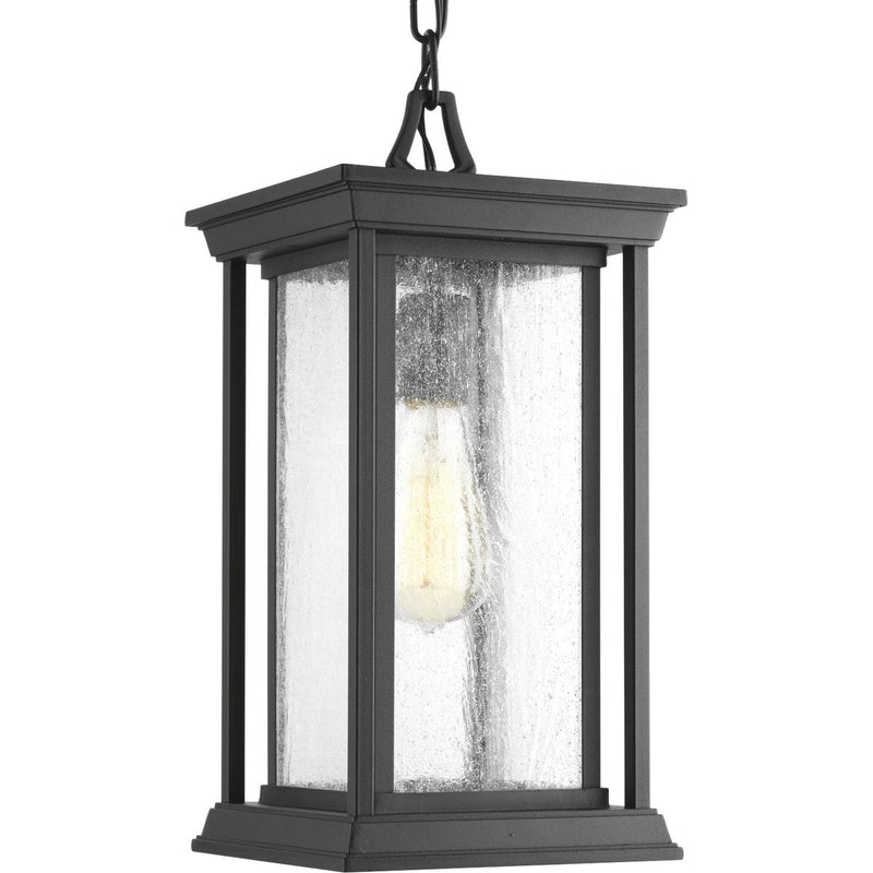 Progress P5500-31 Endicott Collection One-Light Hanging Lantern Main Image.jpg