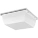 Progress P550113-028-30 Hard Nox Collection White 12" Square Flush Mount Light Main Image.jpg