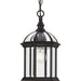 Progress P550122-020 Dillard Collection One-Light Traditional Antique Bronze Clear Glass Outdoor Hanging Light Main Image.jpg