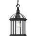 Progress P550122-031 Dillard Collection One-Light Traditional Textured Black Clear Glass Outdoor Hanging Light Main Image.jpg