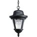 Progress P5530-31 Westport Collection One-Light Hanging Lantern Main Image.jpg