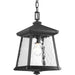 Progress P5559-31 Mac Collection One-Light Hanging Lantern Main Image.jpg