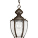 Progress P5565-20 Roman Coach Collection One-Light Hanging Lantern Main Image.jpg