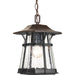 Progress P5579-84 Derby Collection One-Light Hanging Lantern Main Image.jpg